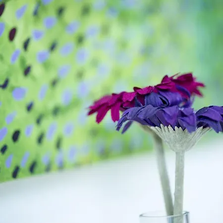 Sky Design Kriessern