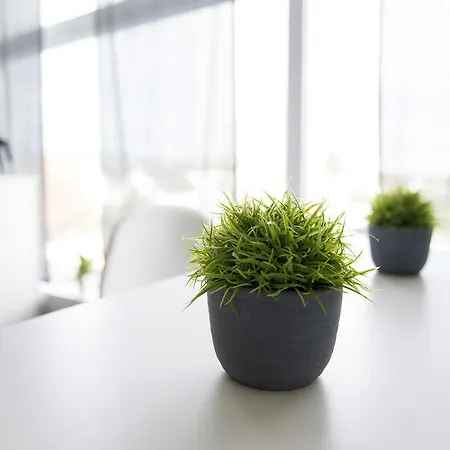 Sky Design 3* Kriessern