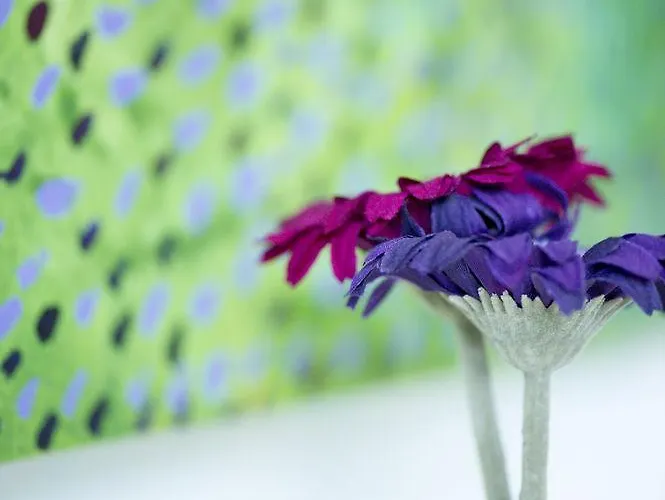 Sky Design Kriessern